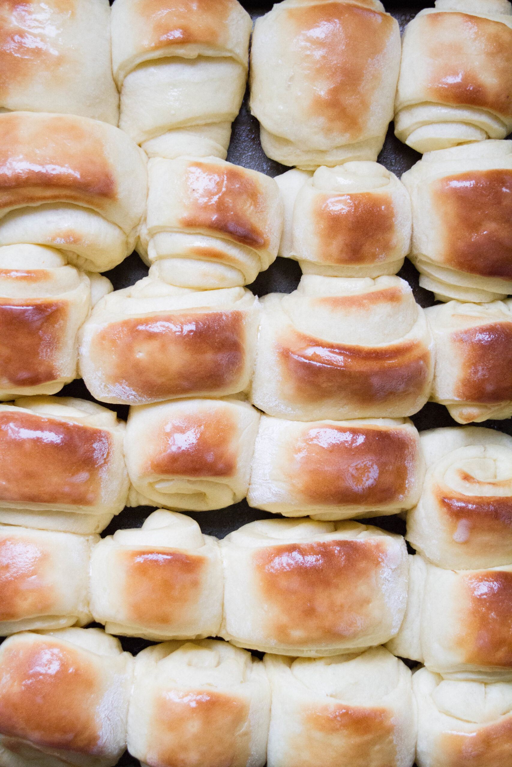 HEAVENLY HOMEMADE ROLLS